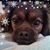 Cyn Rogalski's profile image