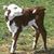 Audrey Frattaroli Jones's profile image