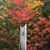 Barbara Crossley Berry's profile image