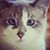 Tammy Kirk's profile image