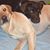 Alice Branch Lauber's profile image