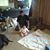 Sheree Montour Gardner's profile image