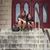 Sandra Perales-Davila's profile image