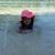 Wendy Hogben's profile image