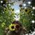 Annick M Aldape's profile image