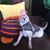 Sandra Lewis's profile image
