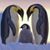 Wendy Allain's profile image