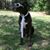 Julie Seay's profile image