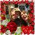 Sara Olson's profile image