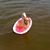 Shay Crawford's profile image