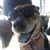 Nicki Toftee's profile image
