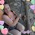 Sherrie Baker Pearson's profile image