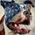 George Otto's profile image