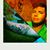 Dallas Thomas's profile image
