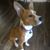 Karol Giljam Gerling's profile image