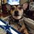 Mindi Hillers's profile image