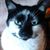 Jeffrey Laverne Smith's profile image