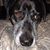 Diane Lynn Brakas's profile image