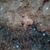 Dave Gafni's profile image