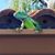 Martha Aldrich-Mineo's profile image