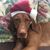Jennifer Larsen Crawford's profile image