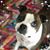 Jason L Kildall's profile image