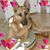 Kristy Frederick Jennings's profile image