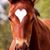 Sharon Elaine Pinter's profile image