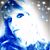 Judy Page Smith's profile image