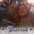 Lisa Scobee's profile image
