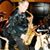 Dennis Strawn's profile image