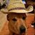 Robert Workman's profile image