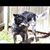 Kathleen Curley Ricchetti's profile image