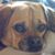 Jacqueline Thompson Elpers's profile image