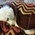 Cheryl Ann's profile image