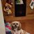 Cindy Kay Tracey's profile image