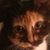Paula Seigler Beckham's profile image