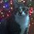 Jane Alcorn's profile image