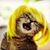 Alexis Borja's profile image