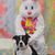 Tonya Kloiber's profile image