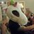 Jeff Mrazik's profile image