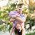 Spirits Justin Rushin's profile image