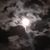 Donna Russo's profile image