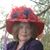 Jan Cummings's profile image