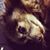 Derek Gress's profile image