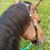 Cherri Cronen's profile image