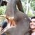 Taurino Contreras's profile image