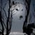 Patte Wakefield's profile image