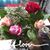 Tara Lynn Cunningham's profile image
