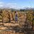Noemi Castellanos's profile image